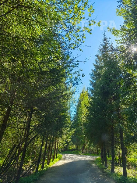 Дом, 288 кв.м., Московская область, Одинцовский р-н (№74281) Дом, 288 кв.м., Московская область, Одинцовский р-н (№74281)