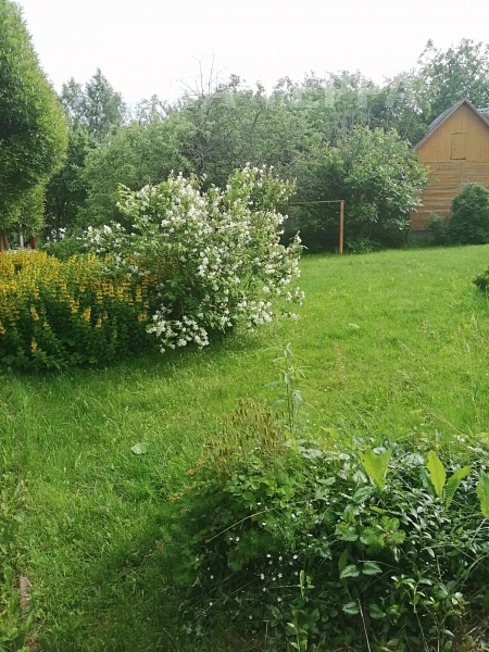 Дом, 112 кв.м., Денежниково (№74497)