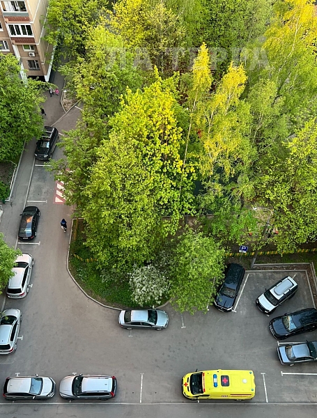 Квартира по адресу: Москва, Царицыно, Луганская ул, 8, общая площадь 53.4 (№74581)