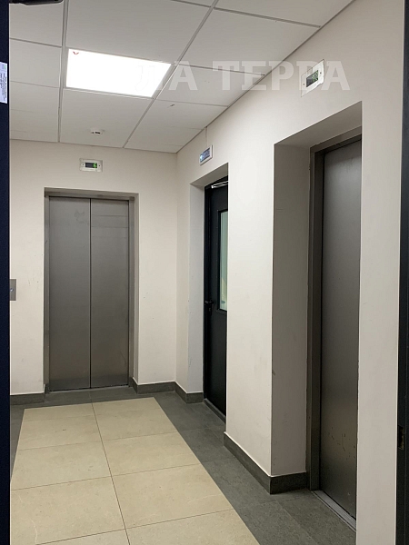 Снять Студия, 28 кв.м., Красногорск, Дачная ул, 5 (№74384)