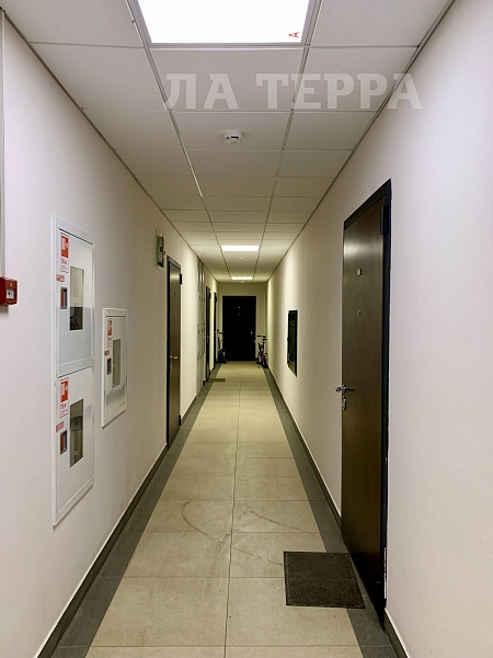 Снять Студия, 28 кв.м., Красногорск, Дачная ул, 5 (№74384)