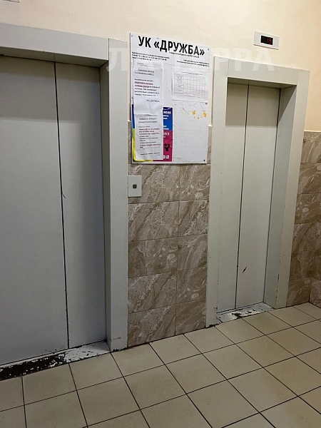 Квартира по адресу: Домодедово, Северный, Овражная ул, 1к2, общая площадь 60.4 (№74331)