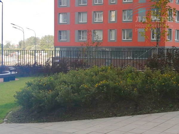 Снять 1-к квартиру, 35 кв.м., Раздоры, Липовой Рощи ул, 2к1 (№73867)