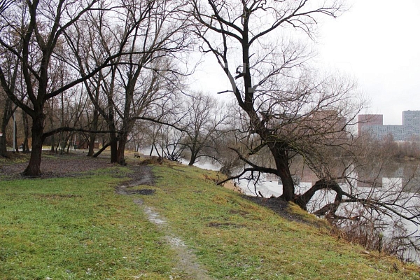Квартира по адресу: Красногорск, Москворецкий б-р, 1, общая площадь 86.3 (№74364)