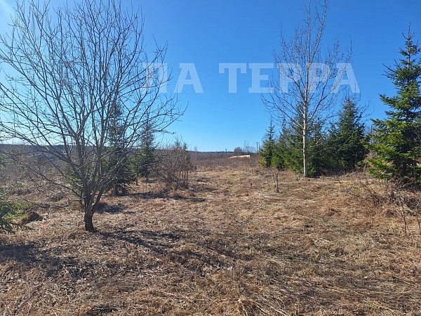 Участок , 4000 сот., Редриковы Горы, - (№74371)