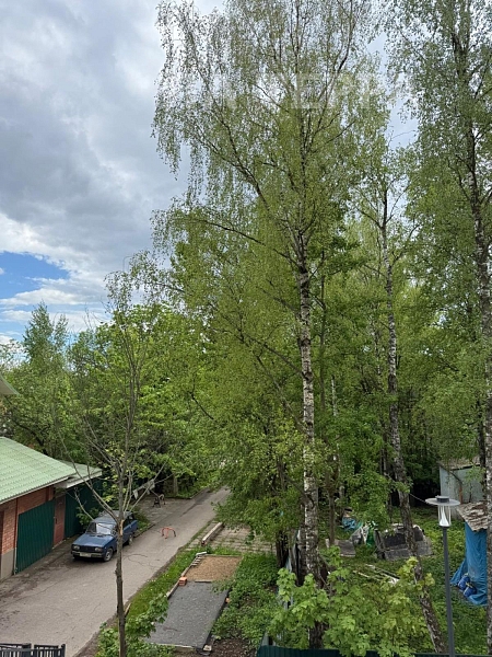 Квартира по адресу: Опалиха, золотая аллея , 2, общая площадь 59.6 (№74173) Квартира по адресу: Опалиха, золотая аллея , 2, общая площадь 59.6 (№74173)