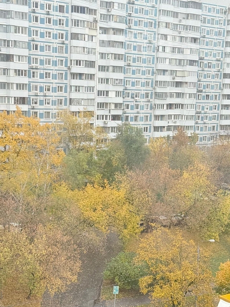 Квартира по адресу: Москва, Твардовского ул, 14к1, общая площадь 73.9 (№74302)