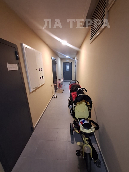 Квартира по адресу: Москва, Чароитовая ул, 1к4, общая площадь 61 (№74223) Квартира по адресу: Москва, Чароитовая ул, 1к4, общая площадь 61 (№74223)
