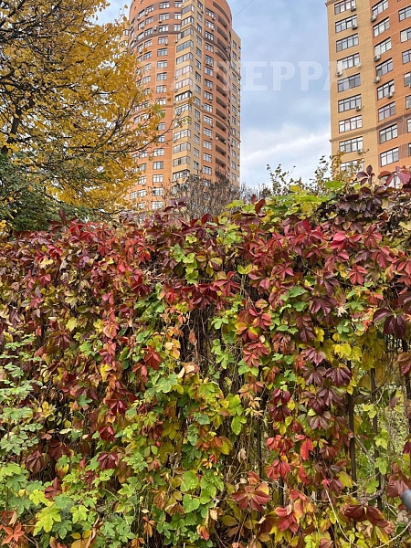 Квартира по адресу: Москва, Твардовского ул, 14к1, общая площадь 73.9 (№74302)