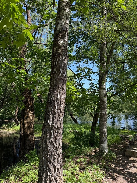 Дом, 125 кв.м., Москва (№74286)