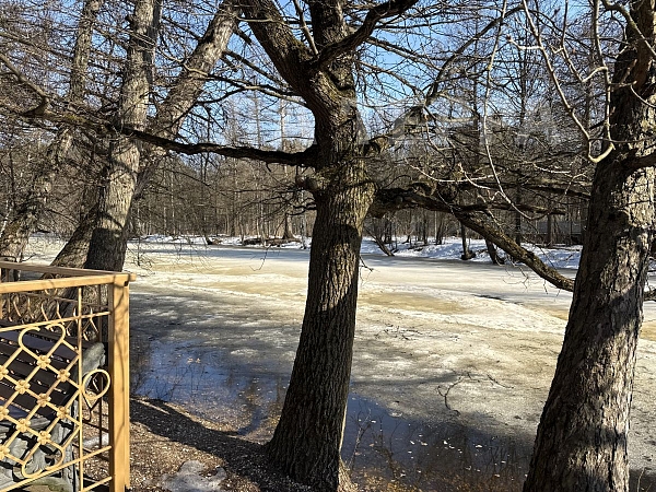 Квартира по адресу: Москва, Андрея Тарковского б-р, 10, общая площадь 35.1 (№74456)