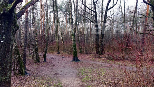 Квартира по адресу: Химки, Бабакина ул, 13, общая площадь 38.6 (№74352)