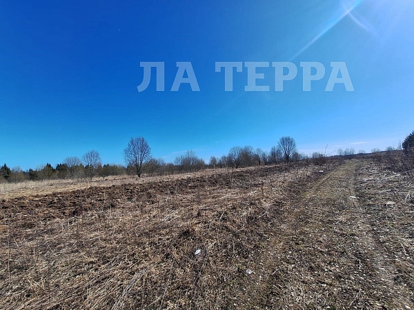 Участок , 4000 сот., Редриковы Горы, - (№74371)