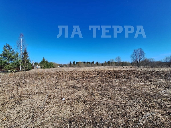 Участок , 4000 сот., Редриковы Горы, - (№74371)