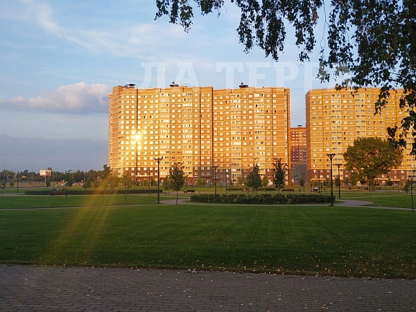 Квартира по адресу: Звенигород, Супонево мкр, 14, общая площадь 37.1 (№70038)