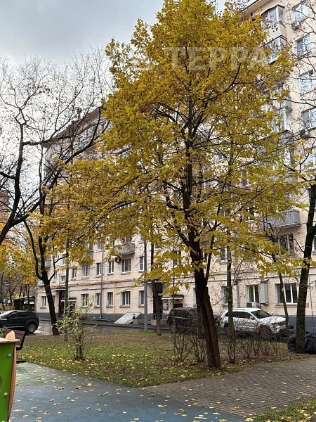 Квартира по адресу: Москва, Новодевичий проезд, 10, общая площадь 44.7 (№74325)