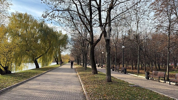 Квартира по адресу: Москва, Новодевичий проезд, 10, общая площадь 44.7 (№74325)