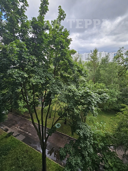 Квартира по адресу: Москва, Исаковского ул, 2к1, общая площадь 38.7 (№74232) Квартира по адресу: Москва, Исаковского ул, 2к1, общая площадь 38.7 (№74232)