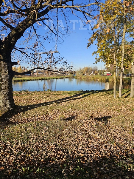 Квартира по адресу: Отрадное, Конная ул, 3, общая площадь 35.5 (№74582)