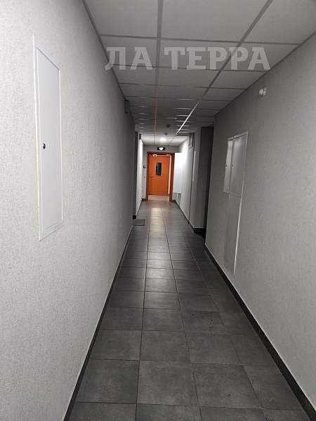 Снять 2-к квартиру, 37 кв.м., Ильинское-Усово, Заповедная ул, 10 (№74324)