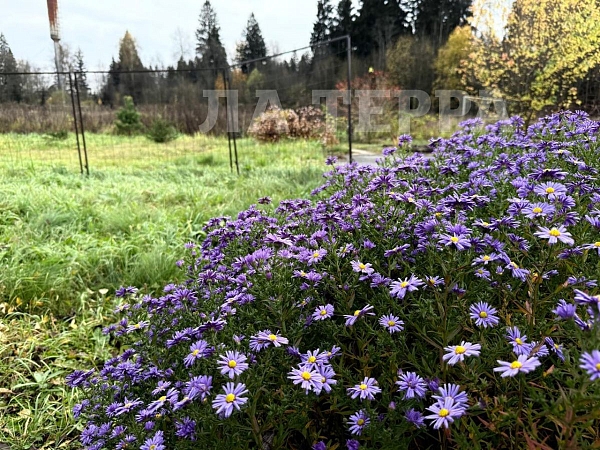 Таунхаус, 180 кв.м., село Былово, -, 222/4 (№74320)