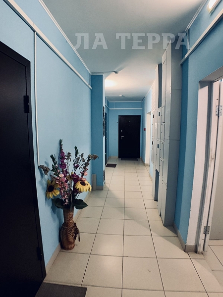 Квартира по адресу: Красногорск, Опалиха мкр.,  Геологов ул, 17, общая площадь 35.6 (№70260)