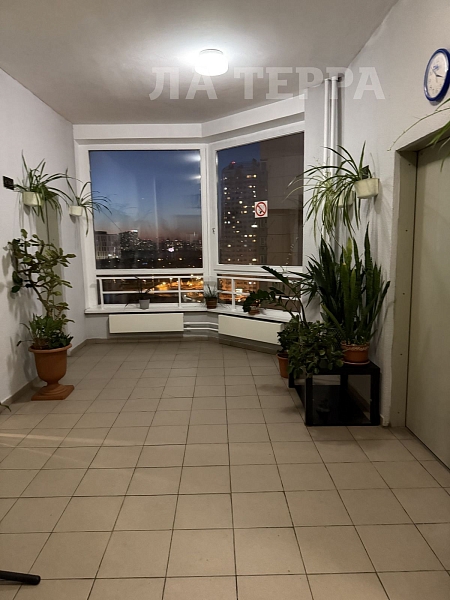 Квартира по адресу: Москва, Твардовского ул, 4к4, общая площадь 67.4 (№74452)